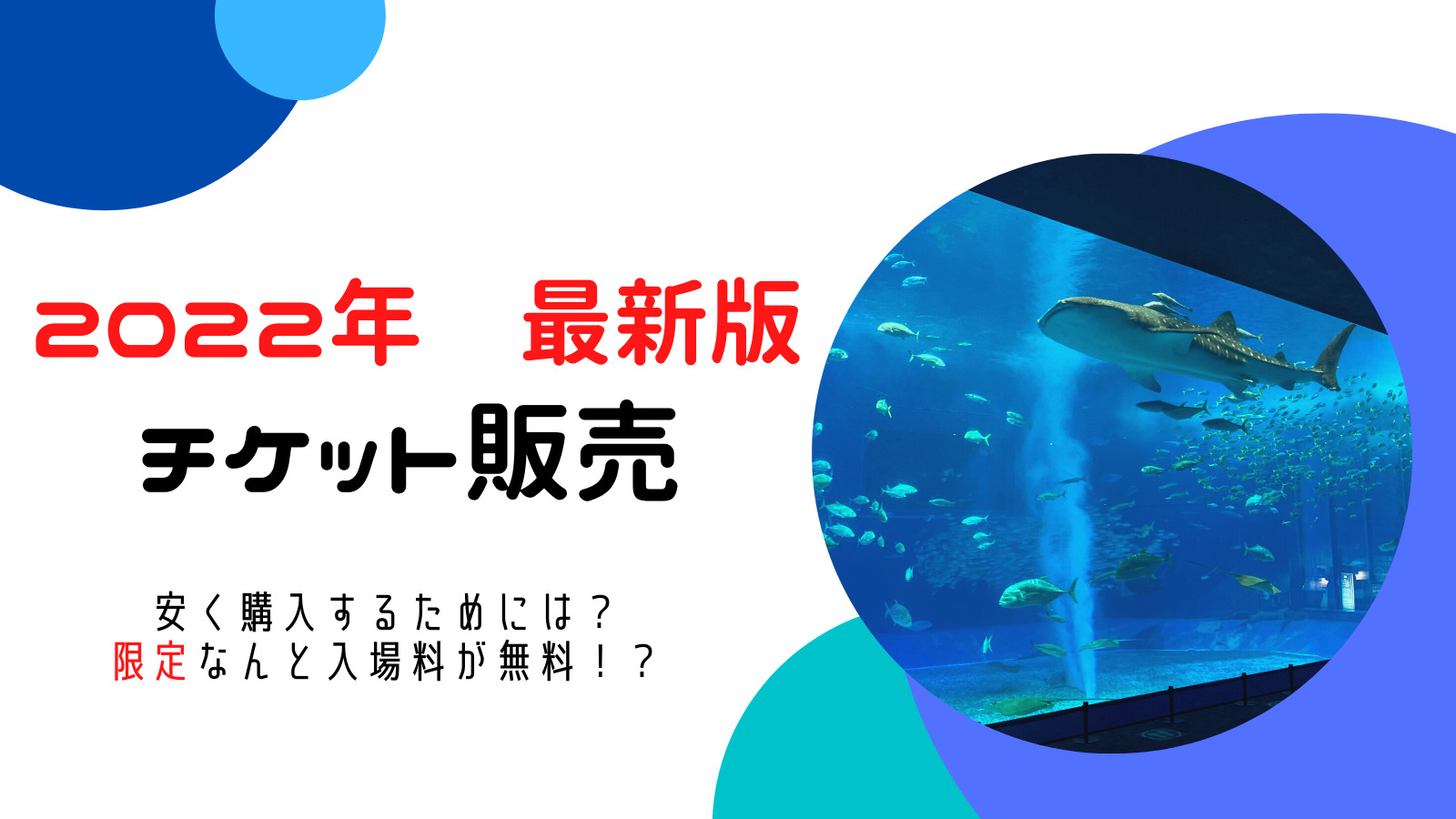 海 料金 ら 美 水族館 沖縄美ら海水族館｜570種類11,000点の生き物を飼育する日本一の水族館
